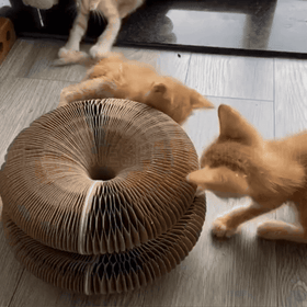 π± Corrugated and Foldable Cat Paper Nest β Scratch & Play Hideout